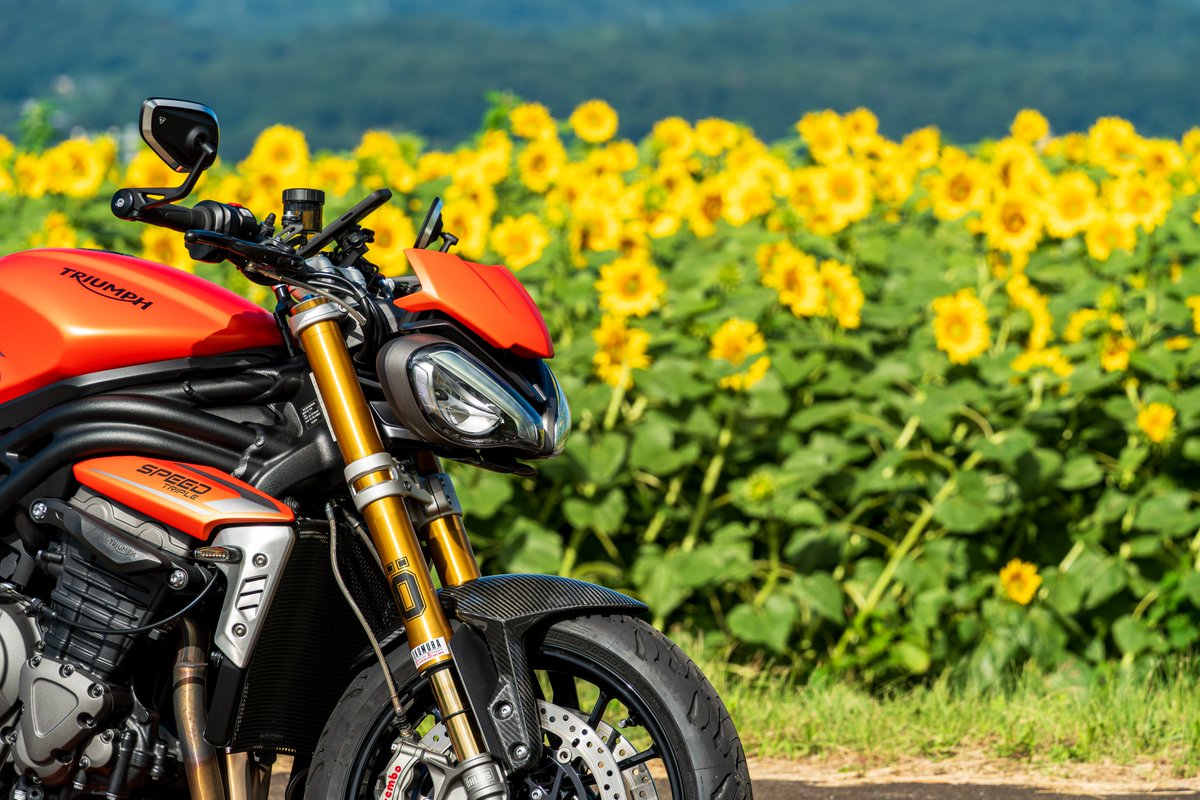 Nobu1200RS's tweet photo. #バイク半分くらい選手権 https://t.co/66ACzk5f3o