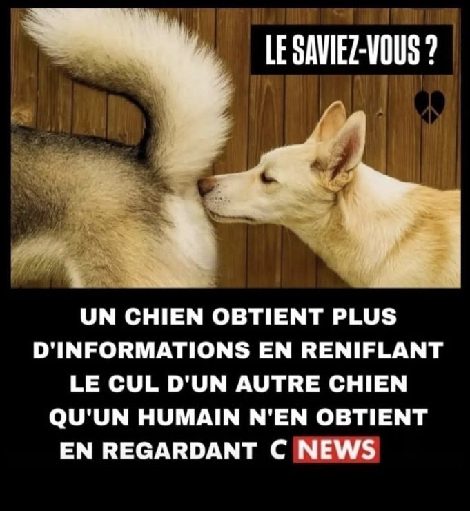 Nemrod63's tweet photo. @CNEWS https://t.co/ikmhf1kKow