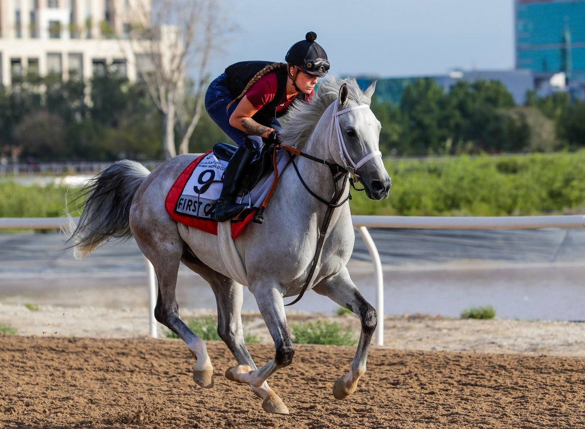RacingDubai's tweet photo. Happy retirement, FIRST CLASSS! 🤩

Owners Cre Run Farm have announced that the dual G1 Dubai Kahayla Classic winner has run his last race. 

The 9yo bows out as the winner of 10 of his 41 starts, including https://t.co/gZHboUGdQE