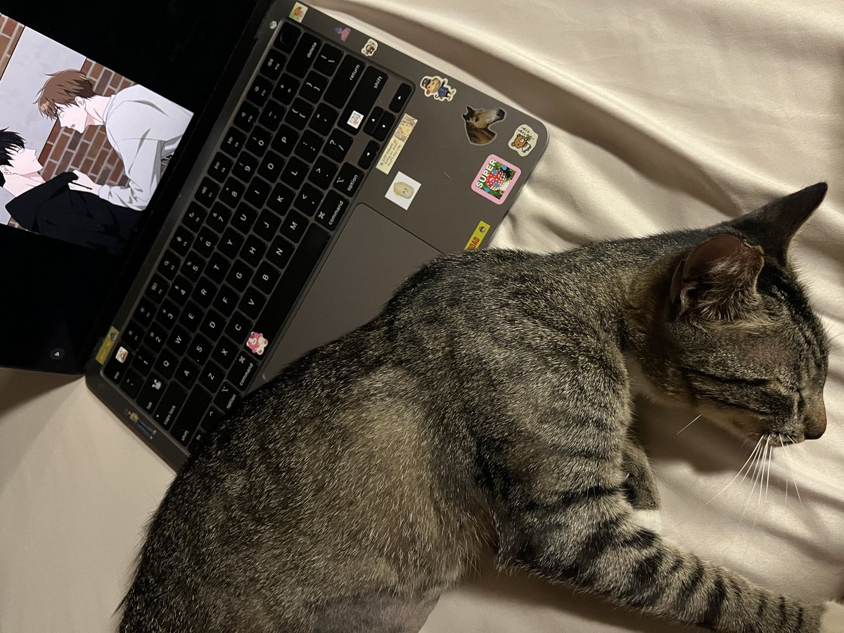 phojoshi tweet media