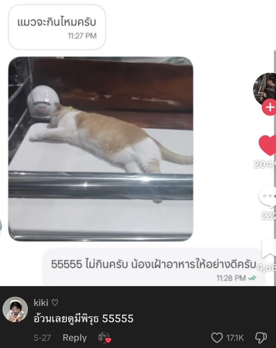 𝐦𝐢𝐧𝐞 tweet media