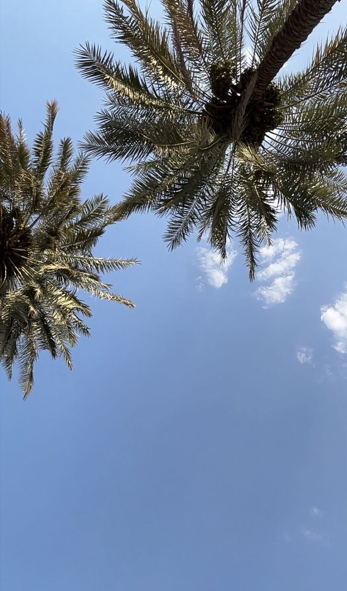 W7uK7's tweet photo. مخيفة فكرة إضطرارك أن تبتع�� خطوة واحدة لتختبر مكانك ، لكنك تندهش من سرعان تحول الخطوة إلى مسافة شاسعة. https://t.co/o2JXZr1rqj