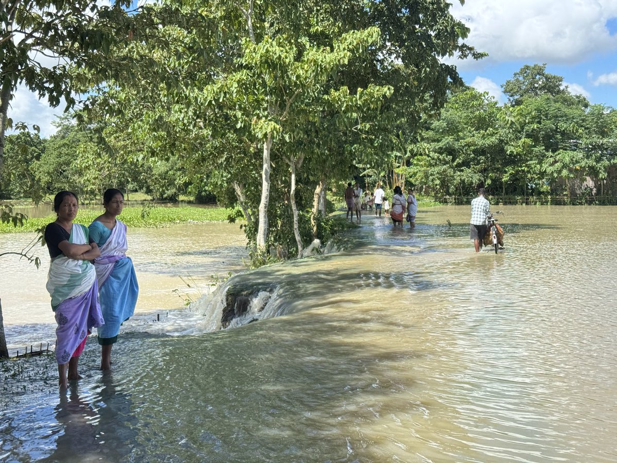 Mrinal_MLA's tweet photo. Visited the heavy rain affected areas of khumtai.
 
ধাৰাসাৰ বৰষুণৰ ফলত উজনি অসমৰ বিভিন্ন প্ৰান্তৰ লগতে খুমটাই সমষ্টিৰ বহু ঠাইত এতিয়া জলমগ্ন অৱস্থা । ১ নং আৰু ২ নং ইকৰানীৰ প্ৰায় পাঁচশ বিঘা কৃষিভূমি পানীৰ তলত । আজি এই অঞ্চলৰ বানাক্ৰান্ত ৰাইজক সাক্ষাত কৰি সমস্যাসমূহৰ বুজ লওঁ। বানৰ এই জটিল সময়ছোৱাত সকলোকে সজাগ হৈ থাকিবলৈ আহ্বান জনালোঁ।