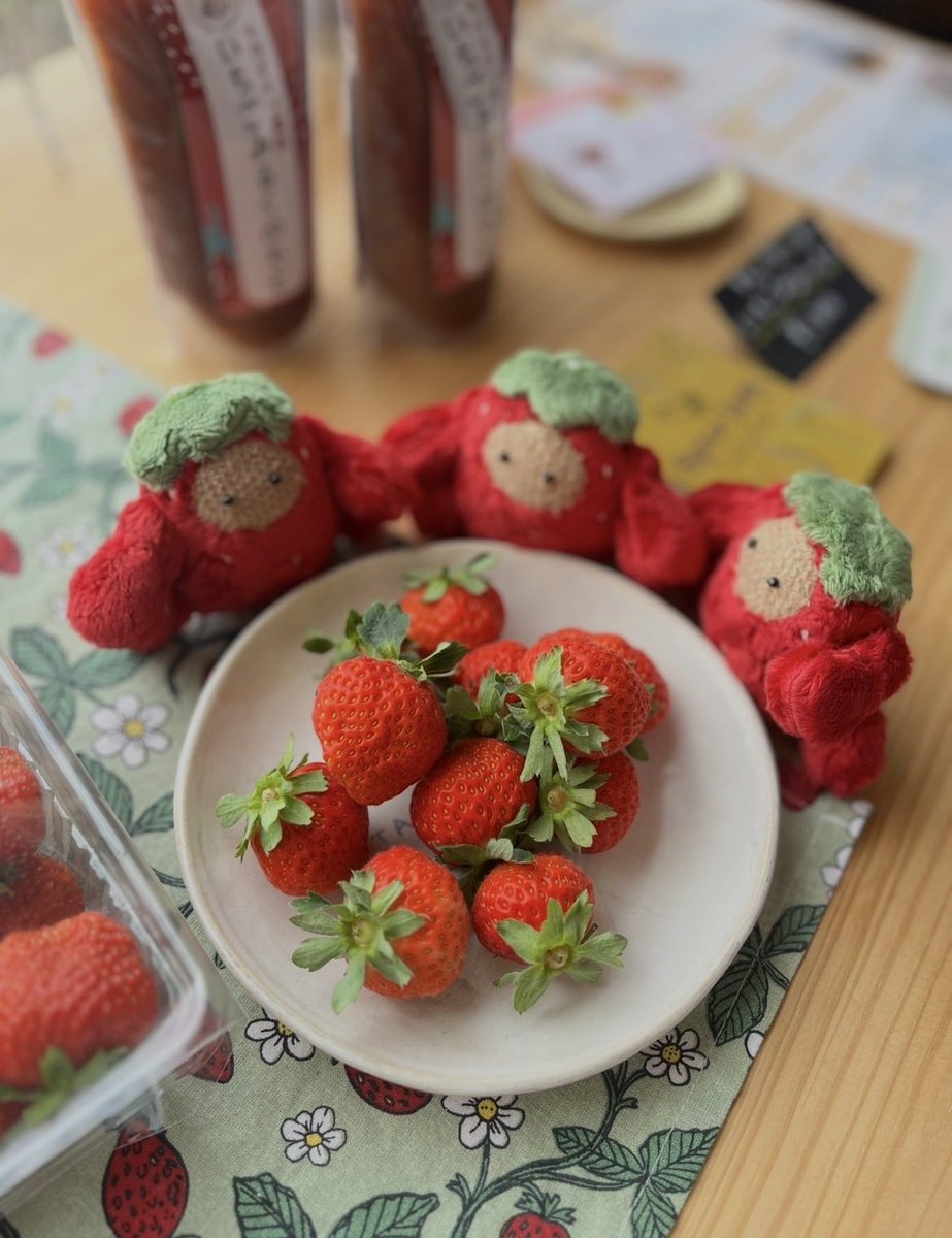 いちごnpati🍓🍓🍓 7/26(日)キタイチゴ農園さんで行われるSpice Jam