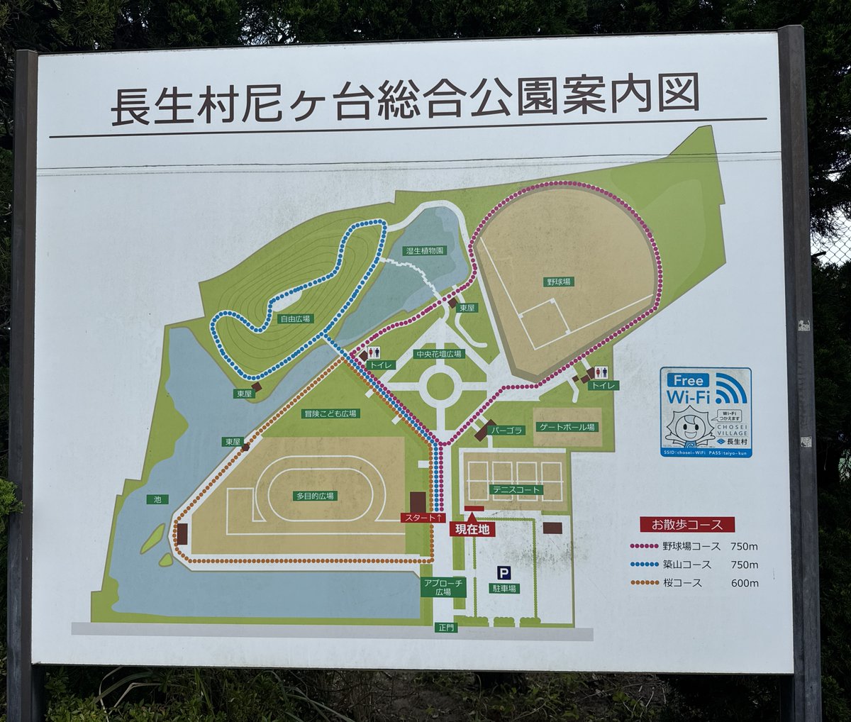 takuchan_2016's tweet photo. 昨日は、「ももクロ秋の桃神祭2026」の下見で千葉県長生郡長生村 尼ケ台総合公園に行ってきた😄
八積駅から歩くと道が狭いから歩くときは気を付けないといけないと思った
ステージは芝生でそこそこ広いけど、トロッコも入れると狭くなってしまうと思った
3枚目はステージ側、4枚目は客席側から撮影 https://t.co/vvviV8oMsY