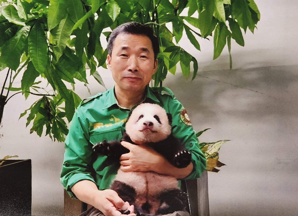 Red_LupinV's tweet photo. Today we celebrate someone who has captured millions of hearts around the world…

Happy Birthday, Fu Bao! 🎂🎋

From a tiny cub to a global panda superstar, Fu Bao has brought joy, smiles, and unforgettable moments to fans everywhere. Your playful spirit continues to unite people across countries and communities.

Today, let’s celebrate with love, positive vibes, and lots of bamboo! 🎍💚

Drop a 🎂🐼 in the comments and wish Fu Bao a wonderful birthday!

Happy Birthday, Queen Fu Bao! 🐼👑
May your days always be filled with happiness, endless bamboo, and lots of love from your fans around the world.
