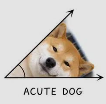 BungTomo008's tweet photo. $ACUTE Dog

Can this highger? lets watch where it will goes
2eZujvnNMHzWWJmL6HhESpaJq8D1uV3DFkT789Aapump https://t.co/FWemuHArbp