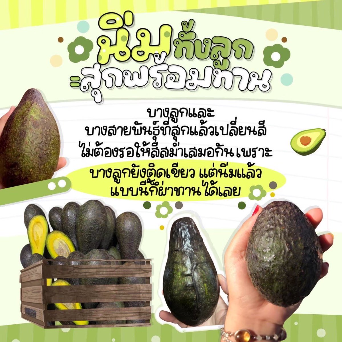 Busaba_01's tweet photo. หลายคนคิดว่าอะโวคาโดเปลือกเขียว = ยังไม่สุก

จริงๆ หลายสายพันธุ์ “สุกแล้วยังเขียว”

ใช้การกดเบาๆ จะเช็กได้แม่นกว่า 🥑

#avocado
#อาหารคลีน
#คีโต
#ลดน้ำหนัก
#อะโวคาโด https://t.co/y7eQdCKtE1
