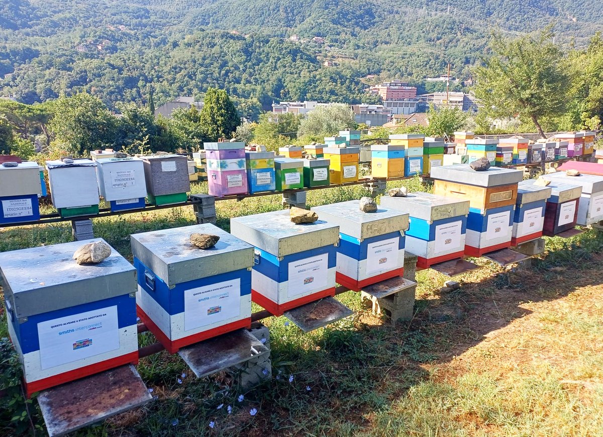 smithsinterconn's tweet photo. Supporting biodiversity and environmental sustainability
🐝Adopting 10 beehives in a certified urban apiary, our Genoa site has contributed to local biodiversity and helped strengthen the surrounding ecosystem.
Congratulations to all the colleagues involved in this project! https://t.co/kWvcTdHOTF