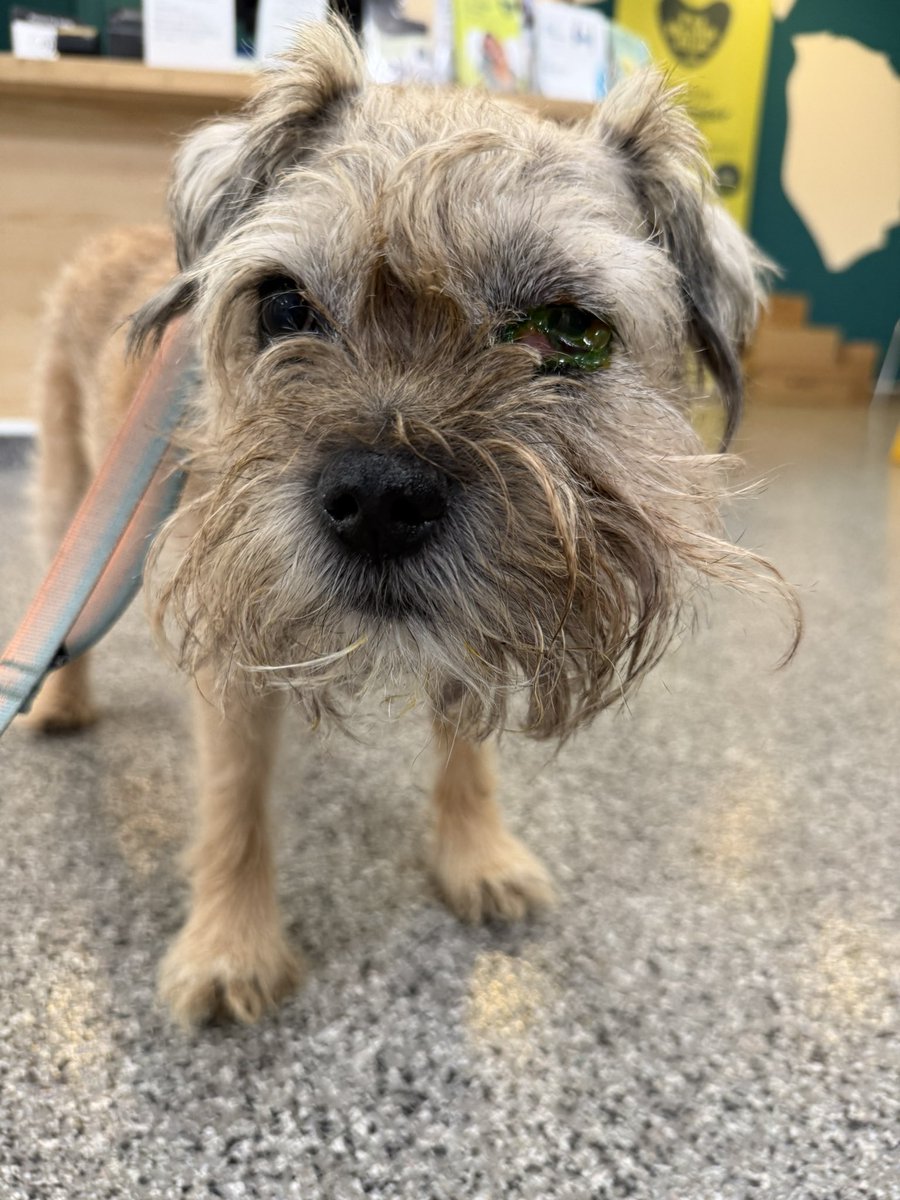 DuncanPickles's tweet photo. So pals, now I’m a little better I can share that I have Cellulitis of the face. My old lady didn’t want to share the bad photos but you can see the difference from Saturday night & this morning. Not out of the woods but a big improvement #DuncanPickles #btposse #MondayMotivation https://t.co/g1ls8jf4yd