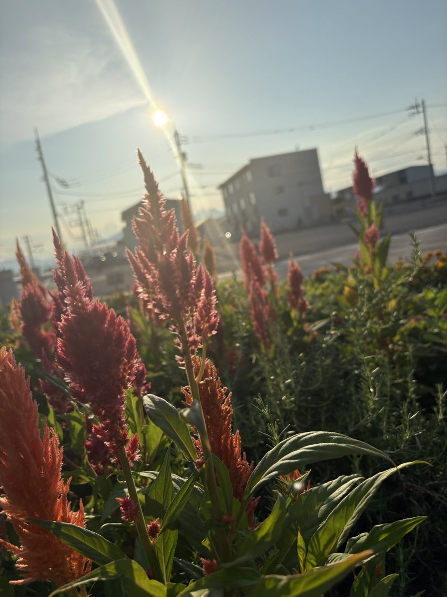 hinmi5's tweet photo. 大人の夏休み楽しかった〜☀️ https://t.co/udfneqXYqq
