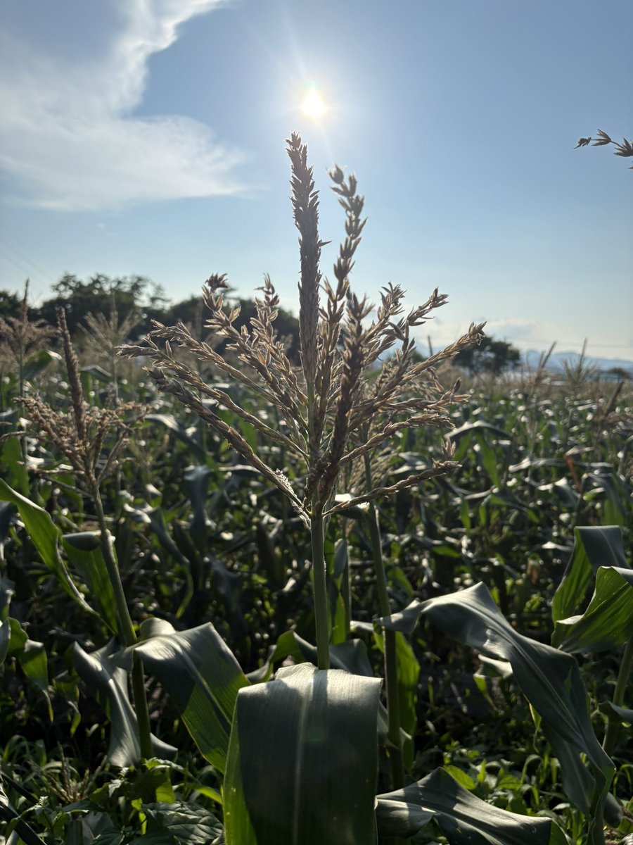 hinmi5's tweet photo. 大人の夏休み楽しかった〜☀️ https://t.co/udfneqXYqq