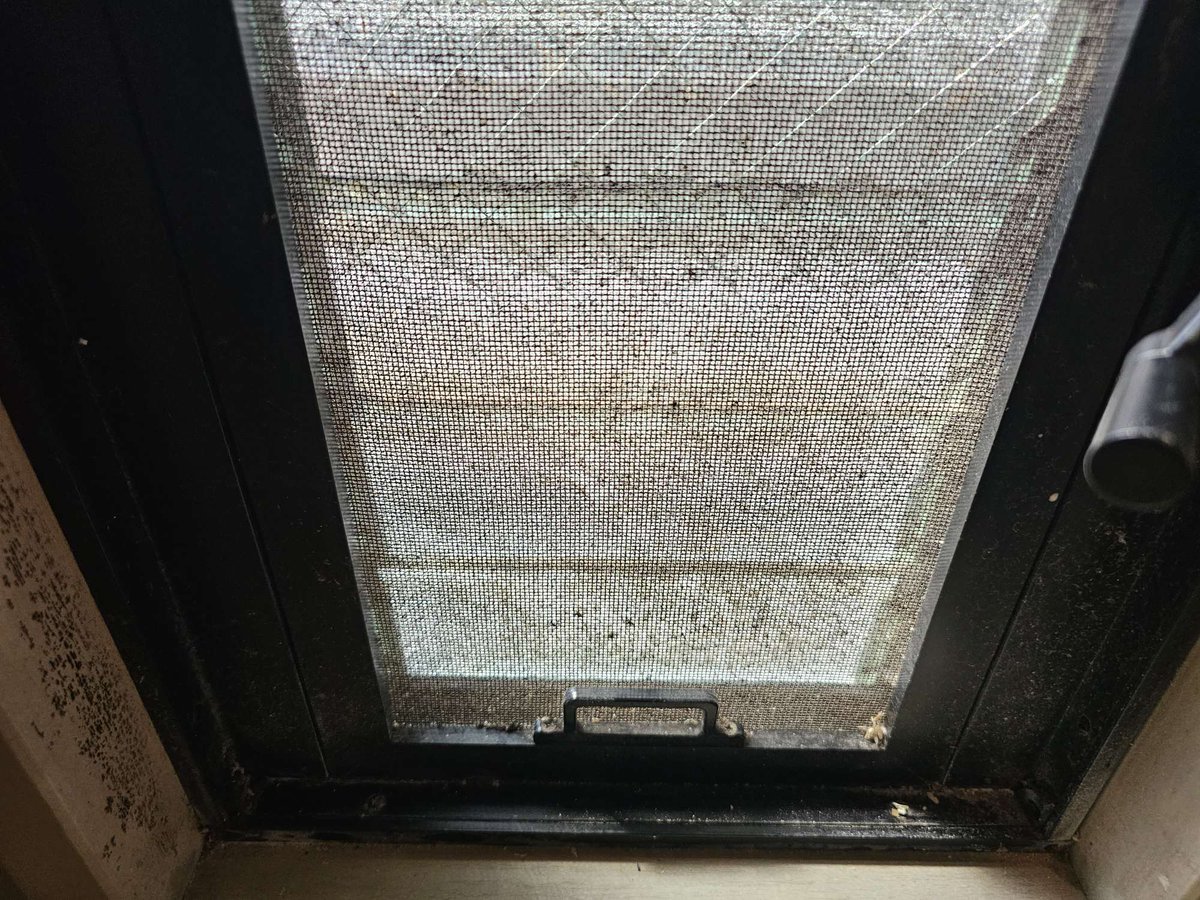 soujin7's tweet photo. 今日は一戸建てフルクリーニングです。
水回り、クロス、床は新品で窓周りと建具がメイン。
簡単そうに見えますがなんと８ＬＤＫの大型住宅(;^_^A
各お部屋に２ヶ所窓がありシャッターも多い💦
初日で２階が修了し残りは明日と明後日で。

https://t.co/YfhyidoZzJ https://t.co/HSm4EYHOmX