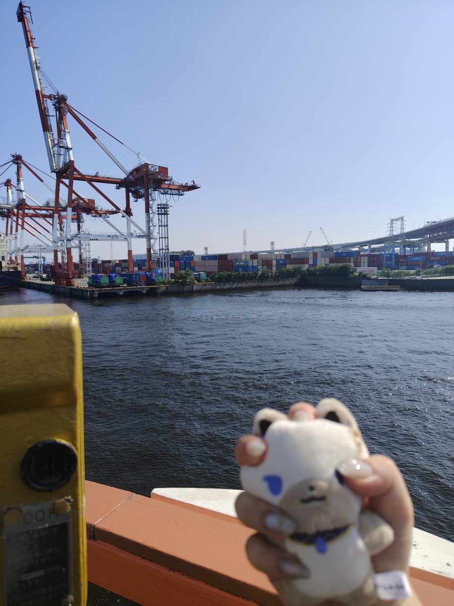 yyyyy_vt's tweet photo. これは今日のにぎにぎ https://t.co/1ZtSzyVme3