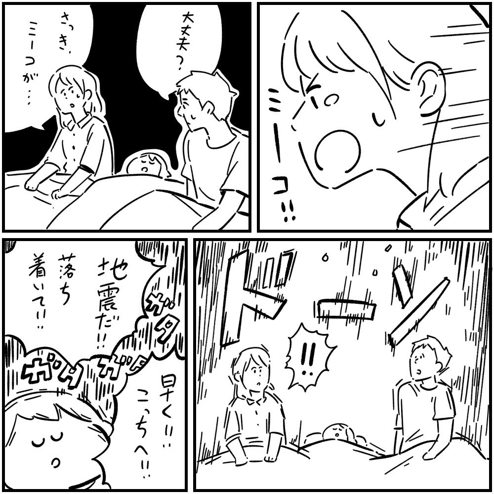 siroyagishugo's tweet photo. 猫のミーコ　3/3 https://t.co/rvz8ZsAmWc