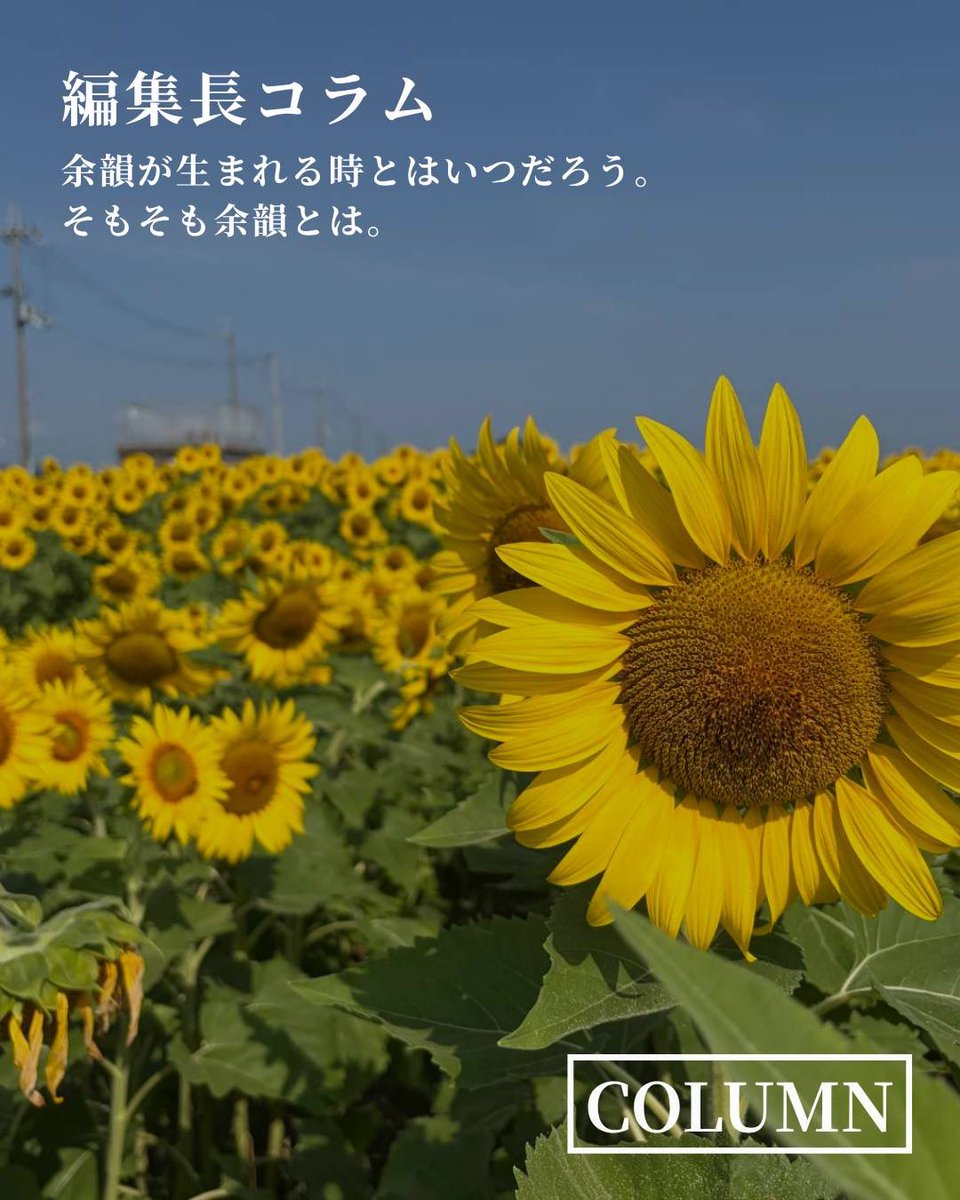 bacchante___'s tweet photo. 【Column ｜余韻が生まれる時とはいつだろう。そもそも余韻とは。】#bacchante

・余韻が生まれる時はいつだろう。
・良い余韻には、いろんな条件がある。
・余韻は、意外と小さなところにある。

▶︎記事はプロフィールリンクから

#column https://t.co/iU0RJRAxIc