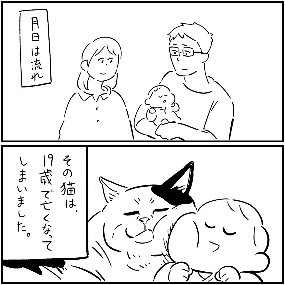 siroyagishugo's tweet photo. 猫のミーコ　2/3 https://t.co/xTY0RlaSPT