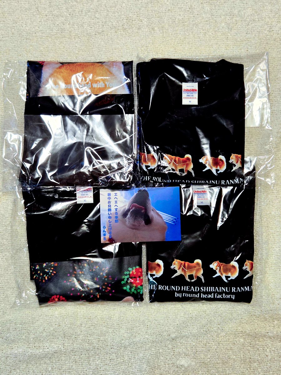 ki_1000000's tweet photo. 家に帰ったら、丸頭製作所さんから幸せが届いていました🐕📦🎆
#らんまる
#柴犬らんまる
#丸頭製作所 https://t.co/bmrTvIYbud
