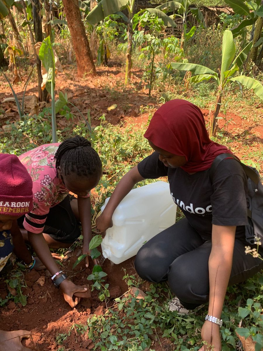 UReportUganda's tweet photo. Also big up to @uydelx Rubaga team for getting their hands dirty and planting trees for a greener tomorrow 🌳👏🏾
One tree, one action, one community at a time. Who’s next?
#ClimateAction #MyGreenActionUg #GreenPal @UNICEFUganda @S4PGroupUG @UReportGlobal https://t.co/5QHUIq85IM