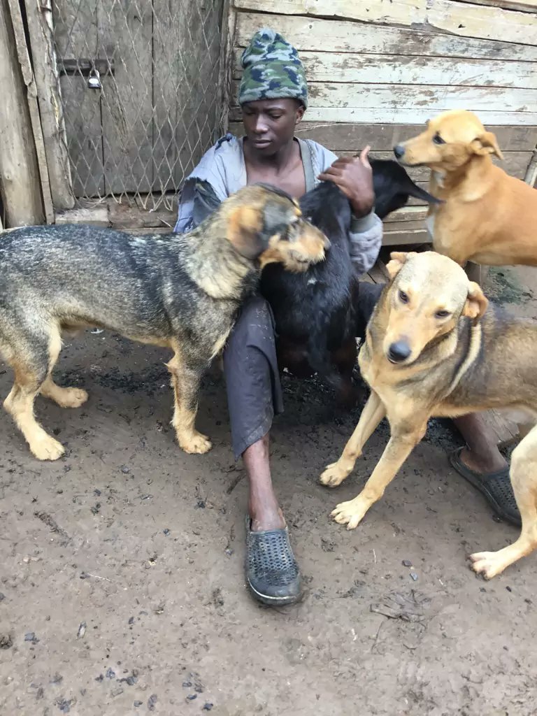sengendojoseph's tweet photo. Every animal needs a kind home not a prison so don't turn your home into a prison for animals https://t.co/yv8WUoXDiU