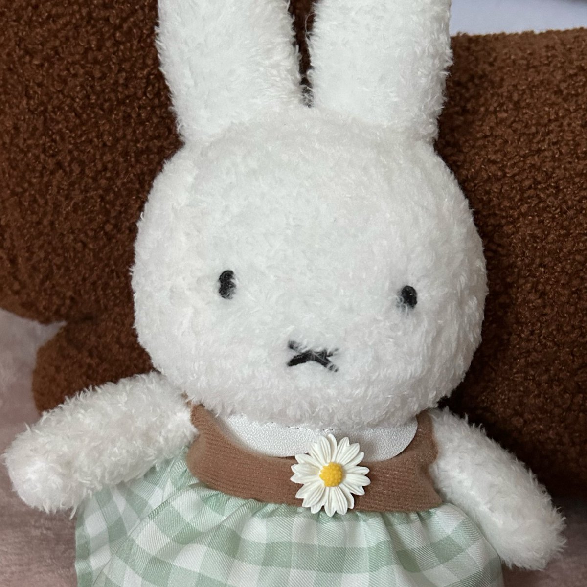 mimi33ppp's tweet photo. 昨日はもうひとつミッションがありましてですね、ふわもこみひさんをお迎えすることでした🐇行く時には売り切れちゃうからやっと買えた〜！着せ替えの服も欲しかったけどそれは追々ね… https://t.co/DaRogTUEgJ