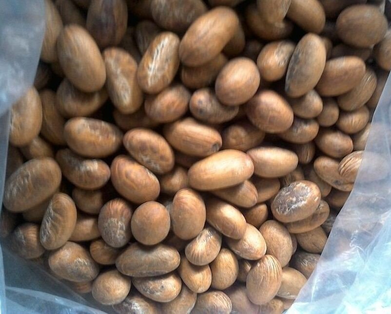 HerbalistHenry_'s tweet photo. 20  BENEFITS  OF CHEWING  DRIED  GARCINIA KOLA SEEDS / BITTER KOLA  NUTS  DAILY ⬇️ 

 1. Reduces high blood pressure (Hypertension) [Dosage: 1-2 seeds/day, Duration: 3-4 weeks]
 2. Regulates blood sugar levels (Type 2 Diabetes) [Dosage: 1-2 seeds/day, Duration: 3-4 weeks]
 3. Lowers total cholesterol (Hyperlipidemia) [Dosage: 1-2 seeds/day, Duration: 3-4 weeks]
 4. Relieves airway constriction (Asthma) [Dosage: 1 seed/day, Duration: Immediate relief within hours]
 5. Suppresses persistent chest colds (Bronchitis) [Dosage: 1-2 seeds/day, Duration: 1-2 weeks]
 6. Decreases joint stiffness and pain (Osteoarthritis) [Dosage: 1-2 seeds/day, Duration: 6-8 weeks]
 7. Protects and repairs liver function (Hepatotoxicity/Liver Disease) [Dosage: 1 seed/day, Duration: 12 weeks]
 8. Lowers intraocular pressure (Glaucoma) [Dosage: 1 seed/day, Duration: 1-2 hours]
 9. Kills oral and throat bacteria (Streptococcal Pharyngitis) [Dosage: 1 seed/day, Duration: 1 week]
 10. Combats parasitic blood infections (Malaria) [Dosage: 2 seeds/day, Duration: 1-2 weeks]
 11. Reduces systemic bodily inflammation (General Inflammation) [Dosage: 1-2 seeds/day, Duration: 4-6 weeks]
 12. Heals gastrointestinal lining (Gastric Ulcers) [Dosage: 1-2 seeds/day, Duration: 4-6 weeks]
 13. Stops loose bowels (Diarrhea/Dysentery) [Dosage: 1-2 seeds/day, Duration: 1-3 days]
 14. Neutralizes ingested toxins (Food Poisoning) [Dosage: 1-2 seeds/day, Duration: 1-2 days]
 15. Alleviates uterine contractions (Menstrual Cramps) [Dosage: 1 seed/day, Duration: 1-3 days during cycle]
 16. Provides powerful cellular antioxidant protection (Oxidative Stress) [Dosage: 1 seed/day, Duration: 4 weeks]
 17. Increases sperm count and viability (Male Infertility) [Dosage: 1 seed/day, Duration: 6-8 weeks]
 18. Boosts male libido (Erectile Dysfunction) [Dosage: 1 seed/day, Duration: 4-6 weeks]
 19. Fights viral replication (Viral Illnesses) [Dosage: 1-2 seeds/day, Duration: 1-2 weeks]
 20. Aids in adipose tissue reduction (Obesity/Weight Management) [Dosage: 1-2 seeds/day, Duration: 8-12 weeks]

⚠️ Do not take along with Pharmaceutical Medications & OTC Painkillers. 

KINDLY  REPOST / SHARE  &  Follow @HerbalistHenry_  on  X (Twitter)  🙏