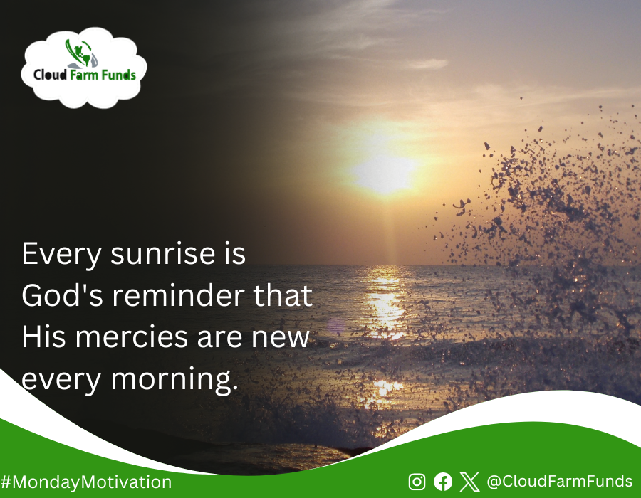 cloudfarmfunds's tweet photo. Every sunrise is God's reminder that His mercies are new every morning. Step into this week with faith, courage, and expectation. Wishing you a fruitful Monday and a successful week ahead. 

Happy New Week

#MondayMotivation
#Cloudfarmfunds https://t.co/5pCRSO8qxB