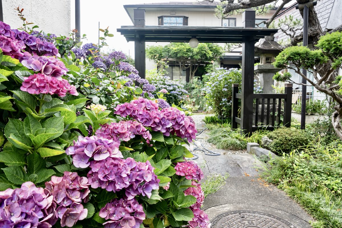 kitaroum81's tweet photo. 富士吉田散歩①。御師の家。訪問した家は室町時代に建築されたとのことだった。 https://t.co/IM7b41eW7Q