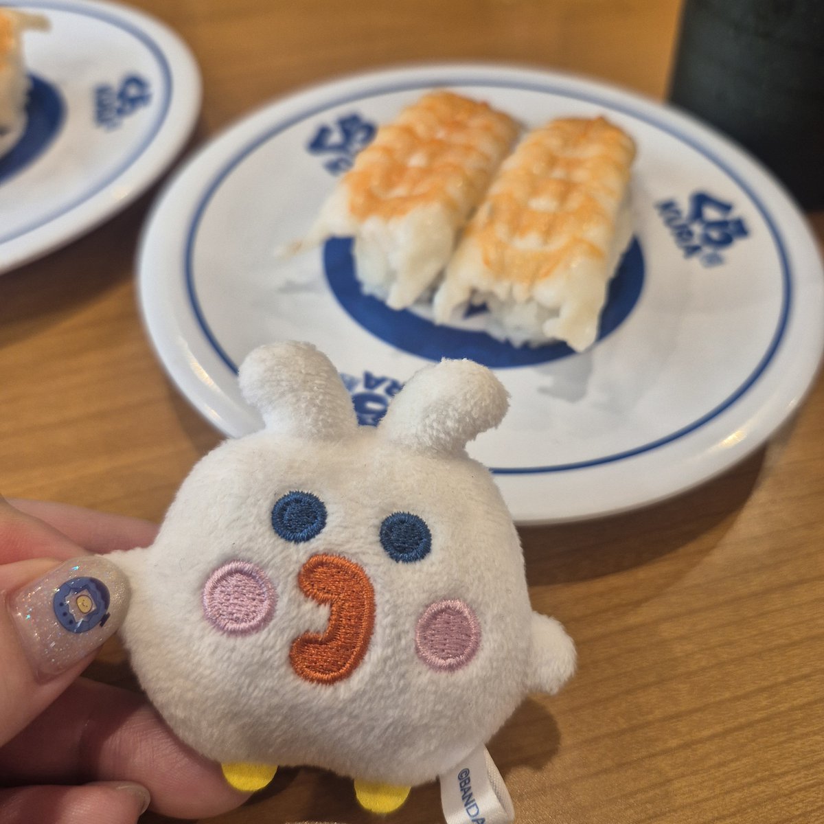 o4shark's tweet photo. しろたまズとお寿司🦐 https://t.co/BnVKZL1yO1