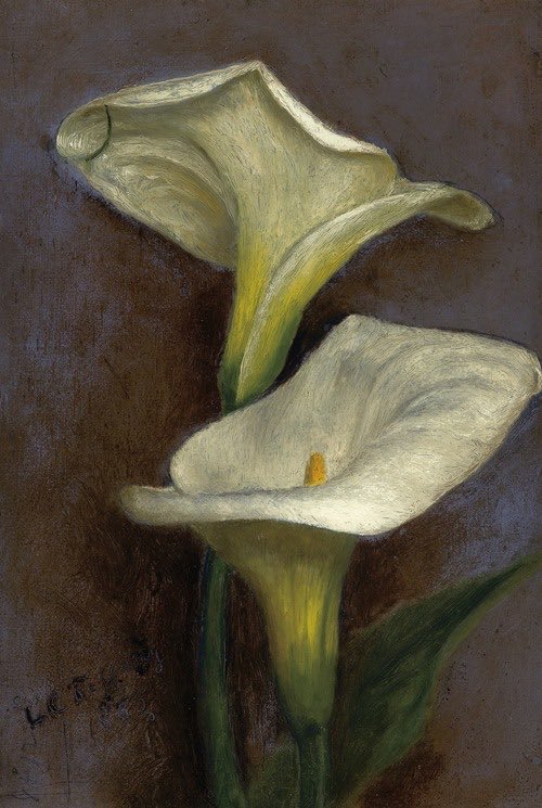 WilhelmGustloff's tweet photo. Calla Lilies, 1865
Louis Comfort Tiffany 1848-1933 https://t.co/6ol2nO4PPe