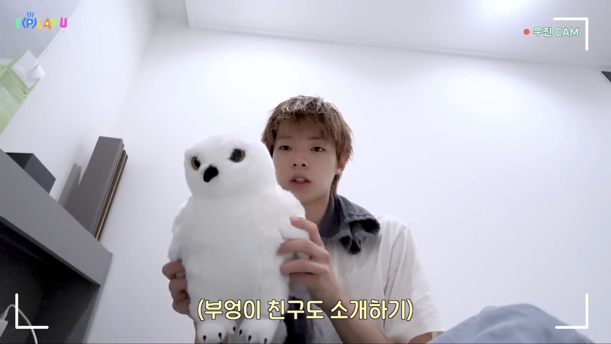page_liyu's tweet photo. woojin; my room really only has the basics i need to survive
the basics in question: hedwig plush + 2x harry potter wand https://t.co/EXMXIiRCX2