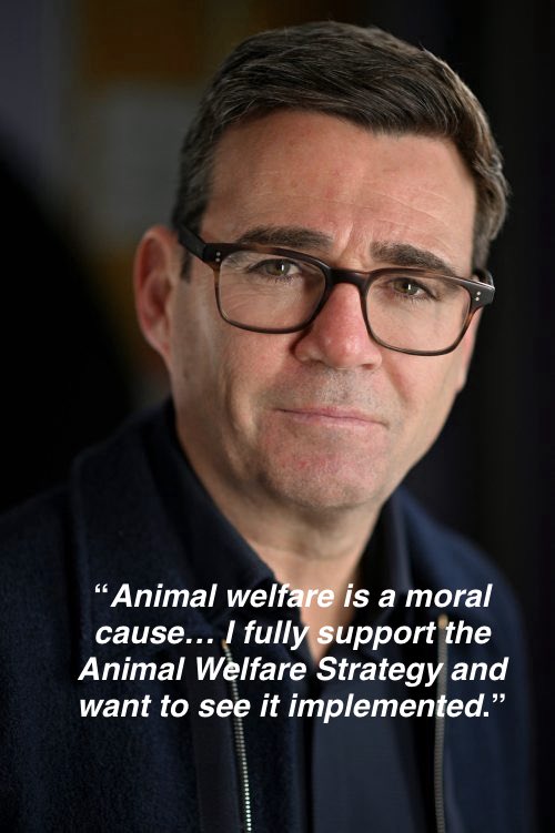 Humane World for Animals UK tweet media