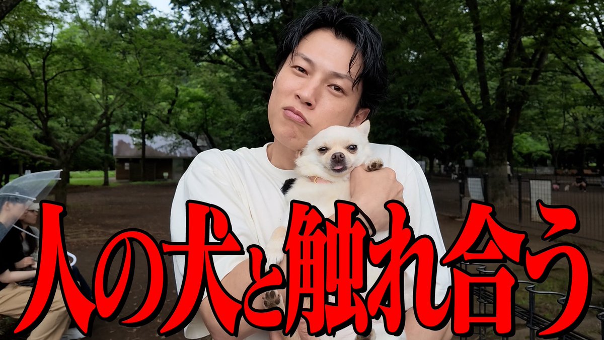 ilov3sakamo's tweet photo. 【冒頭寝坊アリ】セコい裏技で大好きな犬と触れ合って興奮するサカモト

👇動画はこちら‼️

https://t.co/0tGJIdMfOm https://t.co/eQ8nr3UTtC