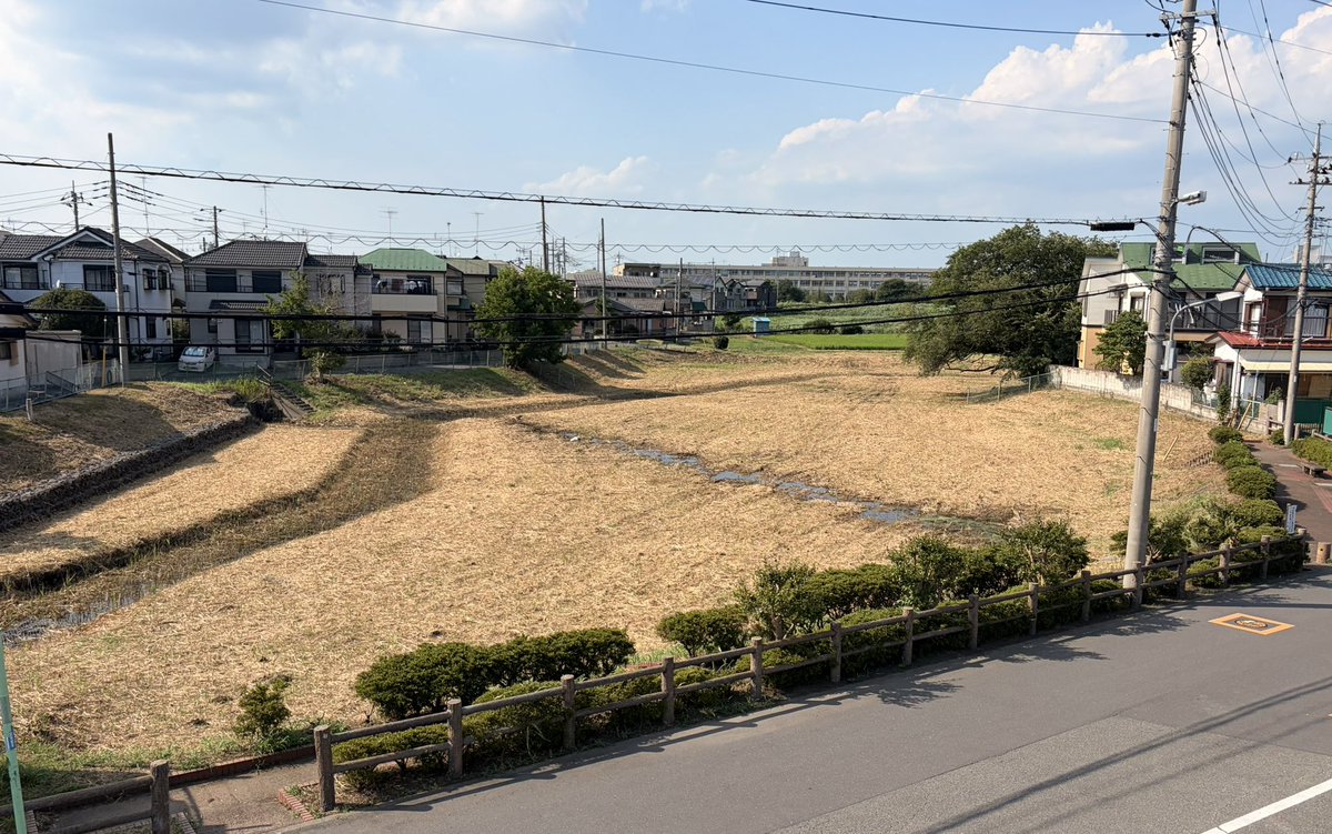 8181Hiroyuki's tweet photo. あまりにも綺麗だったので📷
砂自治会館２階より草刈りをしていただいたあとの弁天池！その先が新河岸川・砂中学校です。 https://t.co/kbZYGW6GzM