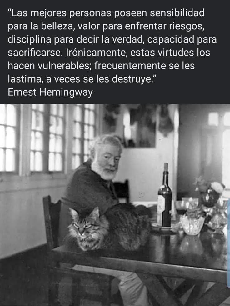 mujerdelibros's tweet photo. La verdad nos hace libres, pero primero exige la valentía de sostenerla aun cuando el mundo decida no entenderla. https://t.co/yxfgQFpFh5