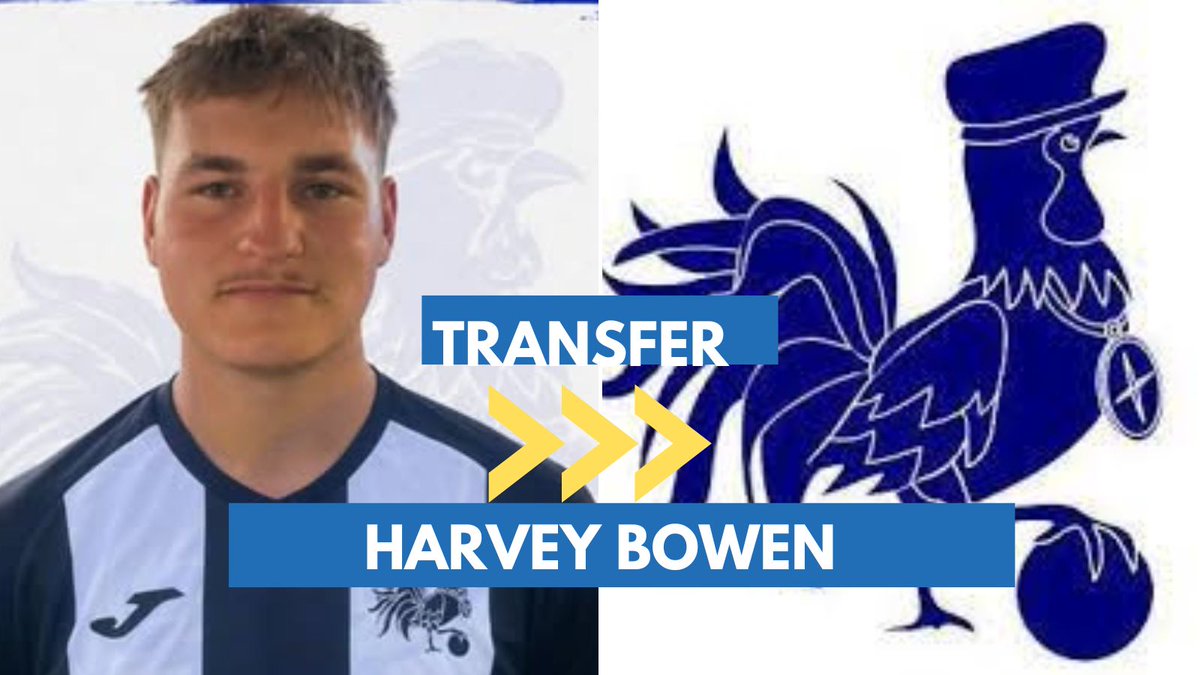 CTSport's tweet photo. Transfer: Harvey Bowen has joined @MMPestateagents Central Wales League club @FordenUnited from @constructiv1 Montgomeryshire League club @4crossesFC https://t.co/z6iQ3Aqlf1