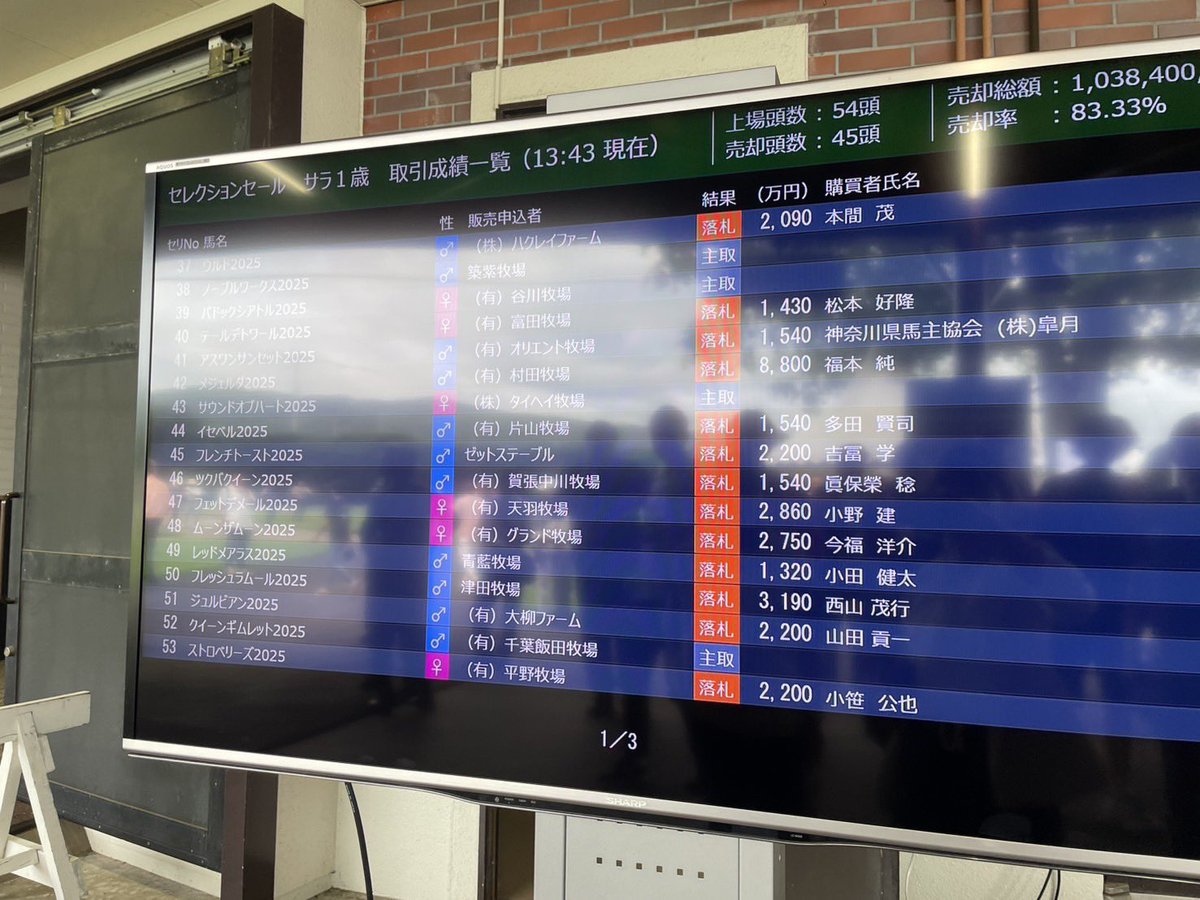 seiun0005's tweet photo. セレクションセール初日
面白い馬が買えました。

50番（番号が良い。ごじゅう。）1歳牡。
父オナーコード
母フレッシュラムール

はっきり言います。全く未知の血統です。
種牡馬はよくわかりません。
ただ、現場にいるチーム西山の馬のプロたちが馬体を褒めました。
（西山茂行は自宅からの電話参戦です。）

しっかり育成して、来年のデビュー、再来年のクラシック目指して。
こう言う謎の種牡馬を走らせるのが得意の西山牧場です。
美浦・水野貴広調教師にお願いしました。