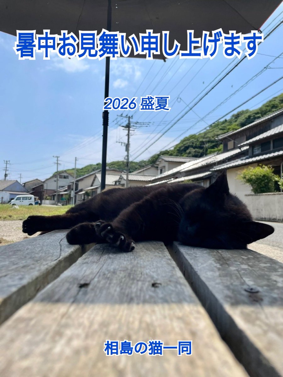 ainoshimacats's tweet photo. 暑中お見舞い申し上げます😸

本当に暑い日が続きます…😣💦
皆様体調崩されないようご自愛ください🙇

相島の猫一同

#相島
#相島の猫たちの為の活動
#コミュ猫相島 https://t.co/QjcnnU9qyf
