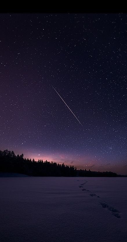 _Naturaee's tweet photo. Stargazing 🔭 https://t.co/mXV1MygfmG