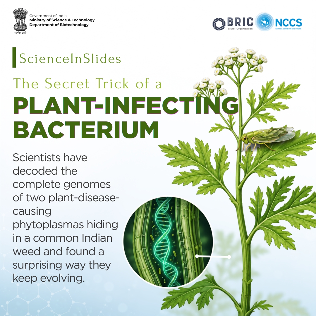 Department of Biotechnology tweet media