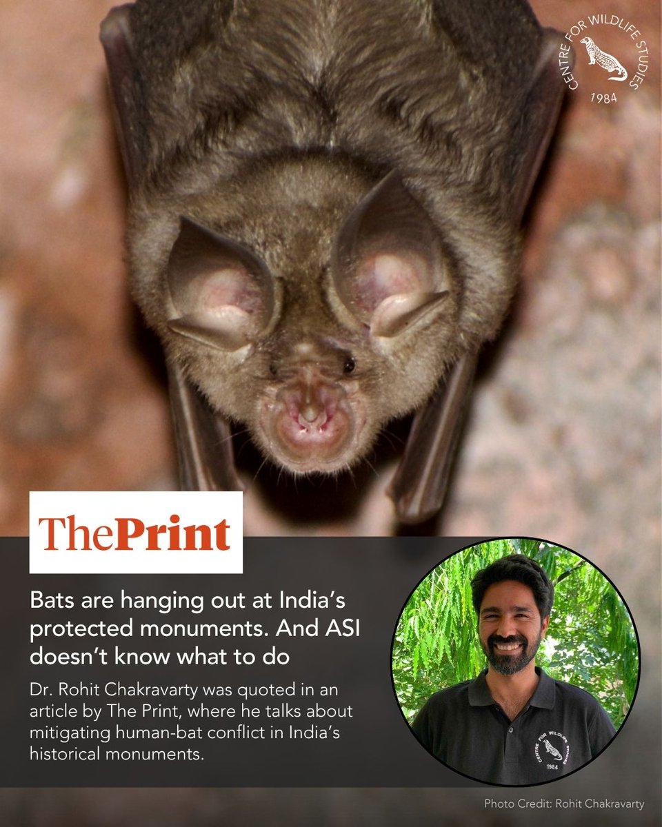cwsindia's tweet photo. Dr. Rohit Chakravarty, Principal Scientist and Faculty at CWS, was quoted in an article in The Print on 3rd July 2026. He talks about finding solutions to protect historical monuments as well as India's bats: https://t.co/q8K4Ov1ZhK 

 #BatConservation #BatEcology #IndiaWildlife https://t.co/6bqDMMHH5t