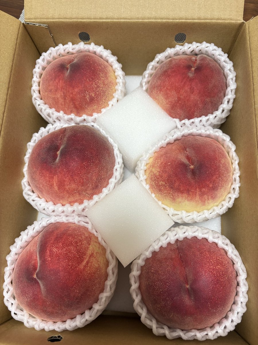 02RYry14's tweet photo. ふるさと納税届いた☺️山梨県桃🍑 https://t.co/PraHD5SyIL