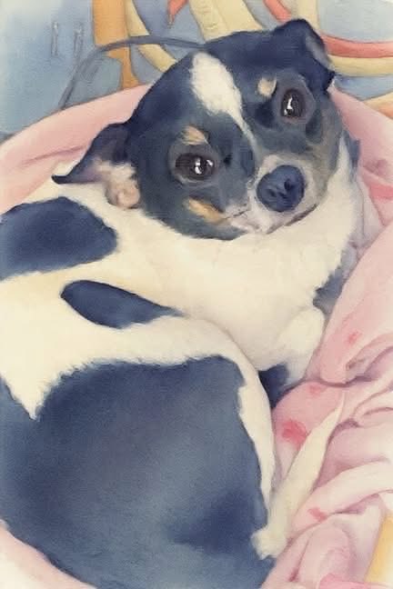 michelle42769's tweet photo. Awe I ❤️💋my anna so very much.
I ❤️this picture.her little face of her’s.
❤️💋😘🥰😍 https://t.co/DT60Lcd1OT