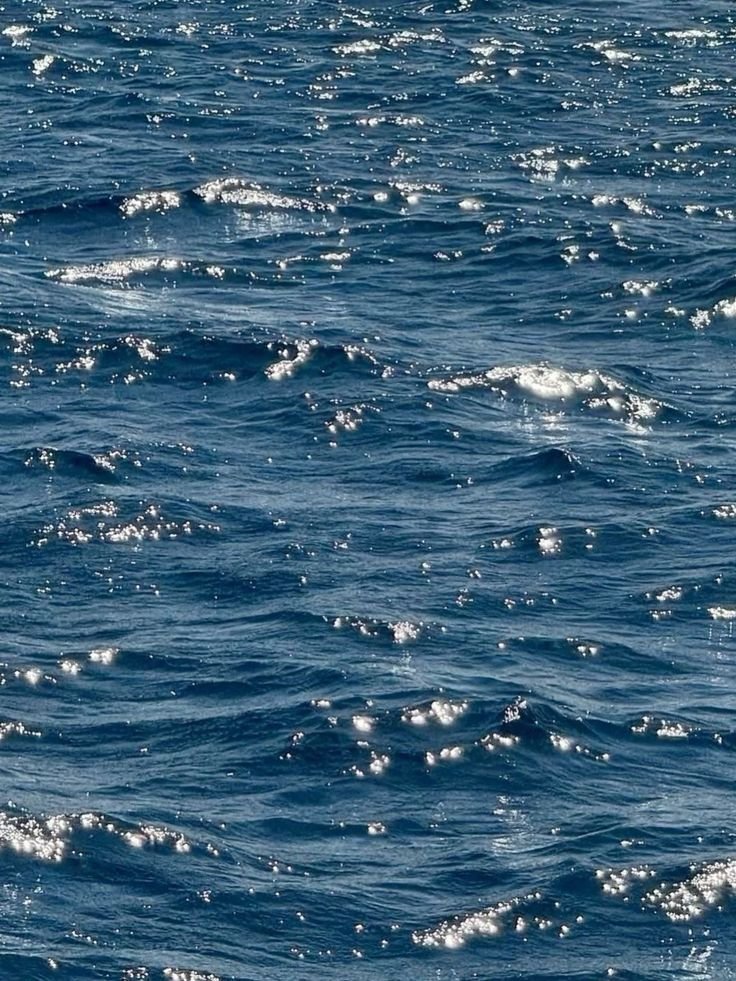 purelivn's tweet photo. shades of blue https://t.co/P9hwJ4Xgt5