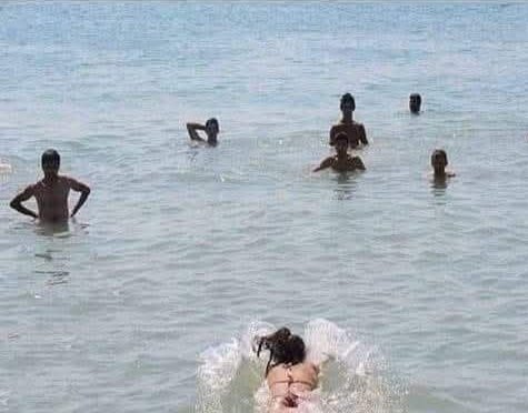 3434Birisi's tweet photo. Gitme Turnam vuracaklar 
kanadını kıracaklar 
Avcılar Pusada
 Bekliyor.. https://t.co/wAhUYdkloD