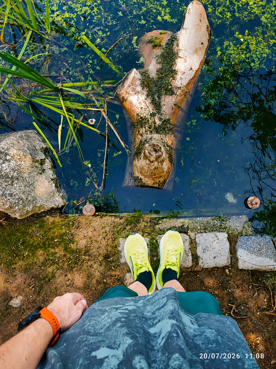 bonusbirkafa's tweet photo. 20.07.2026 - Pazartesi Koşusu, Pozitif kal! Montagslauf, Bleib Positiv! ✨ #12K
#RunPedalOzzy #RunnersHigh 🏃♂️🚴 https://t.co/KZSGf6vdkr