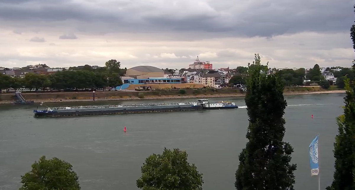 Rheinpegel's tweet photo. Hallo #Thera #Schiff #Bonn #Rhein https://t.co/fs6IOe7cdV