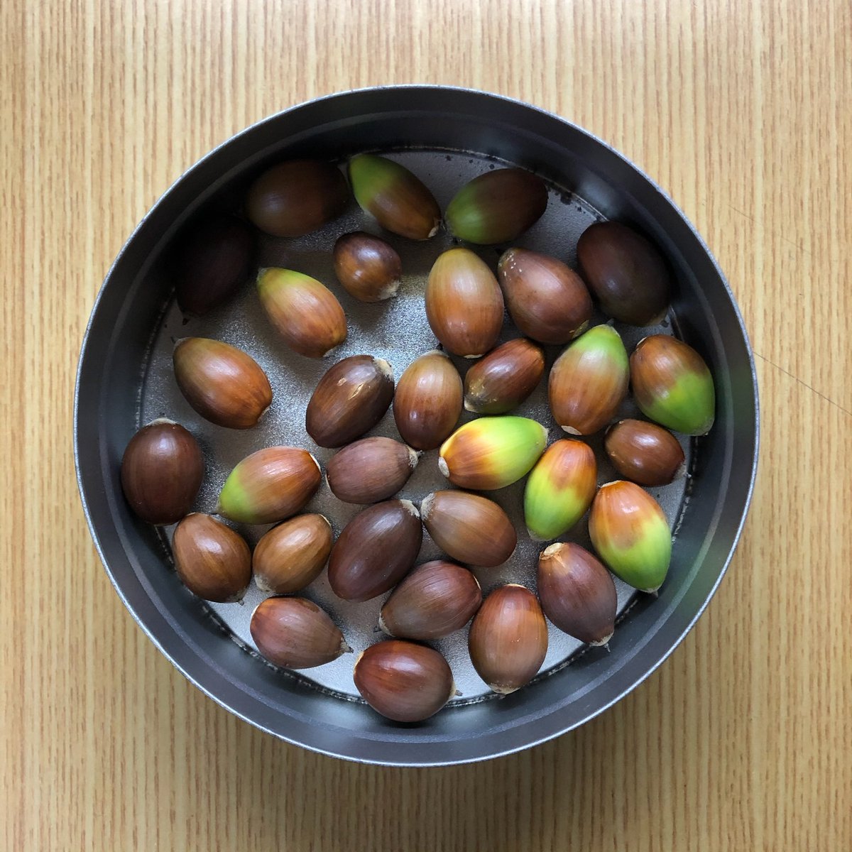 snow159's tweet photo. 🥗かなりゆるめの家事
🥗片付け
🥗足の筋トレ
🥗新聞とマンガ読む
『エンジェルハート1stシーズン』を読んでる。今日は9•10巻辺りを読んだ。年取って涙もろくなってるのかな？泣いた😭

📸いつかのどんぐり

#みんなdeポジティブ人間化 https://t.co/UL6Uxezw0l