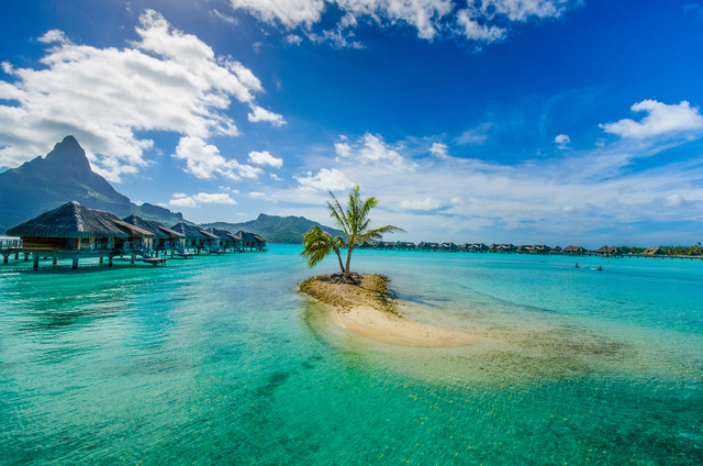 LuxuryTravGuide's tweet photo. Would you rather spend a week...

🏝️ Relaxing in an overwater villa in Bora Bora
or
🌿 Recharging with an Ayurvedic wellness retreat in Sri Lanka?

There's no wrong answer. 👇 https://t.co/sbkrNM68d3