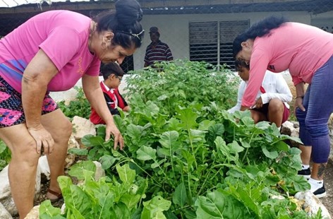 YdaelB's tweet photo. Un proyecto con el sello de la laboriosidad https://t.co/Flo0igRNQa #AgriculturaCubana @MinagCuba https://t.co/JhmUVqjChF